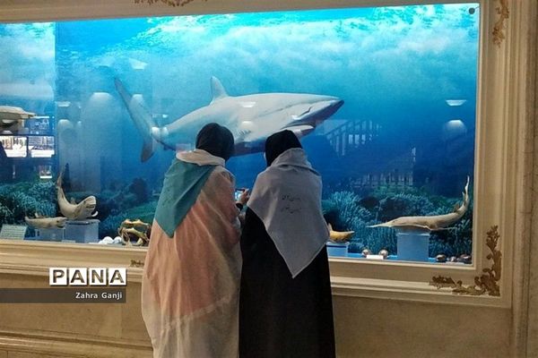 بازدید دانش‌آموزان زیارت اولی استان فارس از موزه رضوی