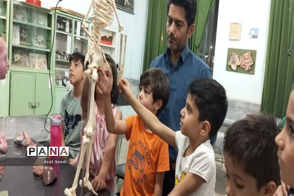 برگزاری جشنواره دانشمند کوچک درکاشمر