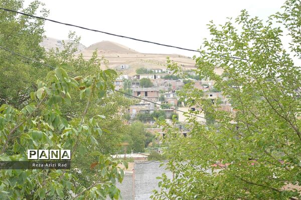 نگین سرخ‌فام آذربایجان از تولید تا فرآوری