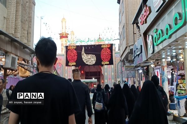 کربلای معلی در اربعین ۱۴۰۲ با حضور پر شور زائران امام حسین (ع)