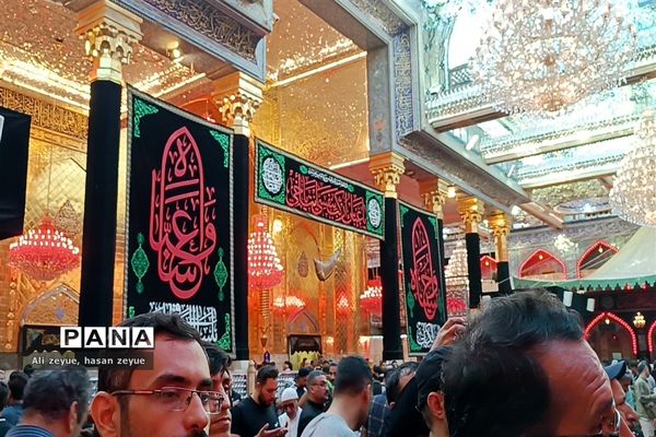 کربلای معلی در اربعین ۱۴۰۲ با حضور پر شور زائران امام حسین (ع)