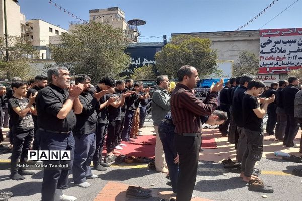 اقامه نماز ظهر و عصر اربعین حسینی در خیابان امام رضا(ع) مشهد مقدس