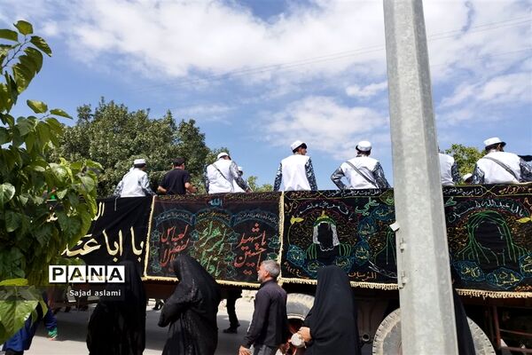 پیاده‌روی دلدادگان حسینی شهرستان اقلید