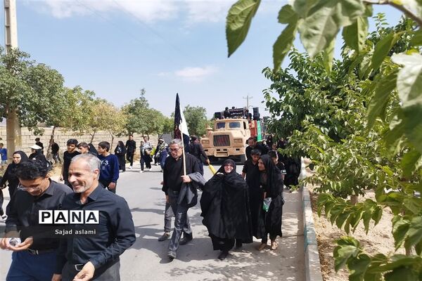پیاده‌روی دلدادگان حسینی شهرستان اقلید