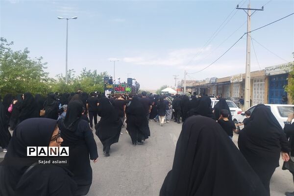 پیاده‌روی دلدادگان حسینی شهرستان اقلید
