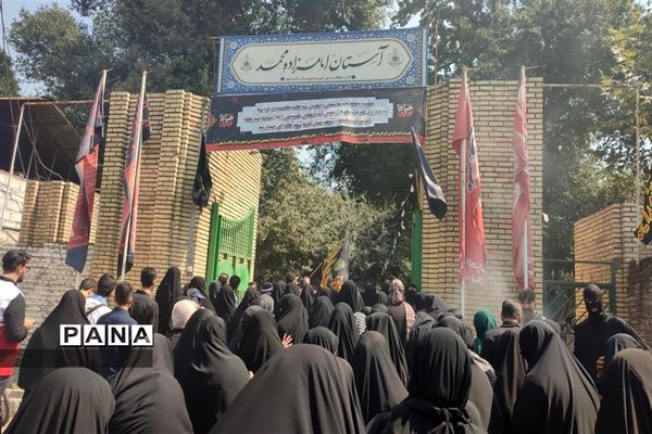 مراسم پیاده‌روی حرم تا حرم دلداگان حسینی در قائمشهر