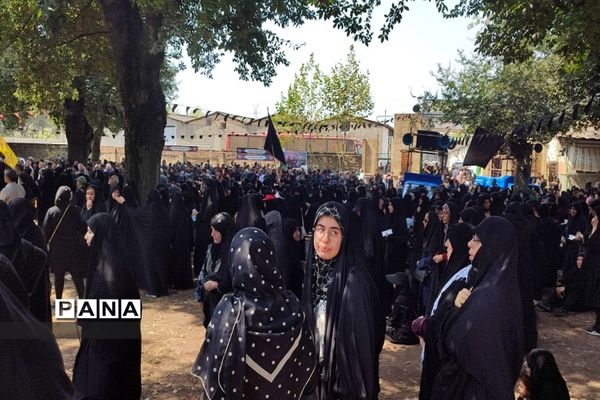 مراسم پیاده‌روی حرم تا حرم دلداگان حسینی در قائمشهر