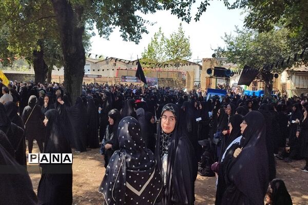 مراسم پیاده‌روی حرم تا حرم دلداگان حسینی در قائمشهر