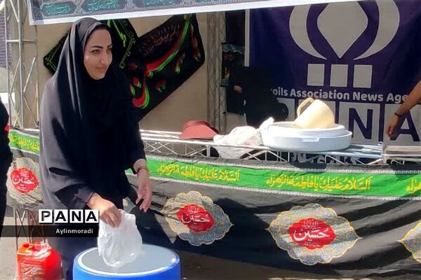 پیاده‌رویی جاماندگان اربعین در رباط کریم