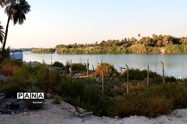پیاده‌روی از مسیر العلما تا کربلای معلی