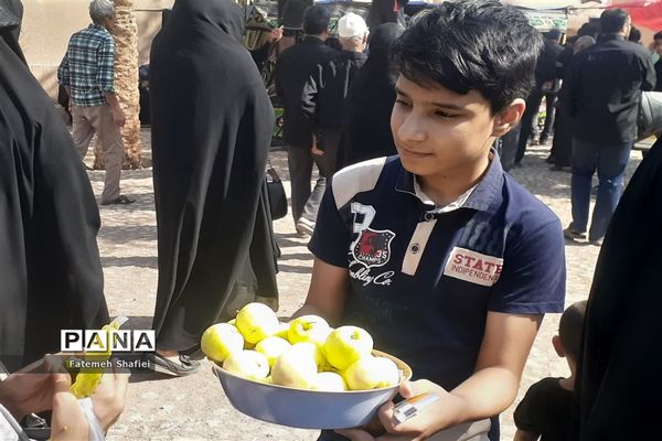 پیاده‌روی نمادین اربعین حسینی در روستای باقر آباد بافق