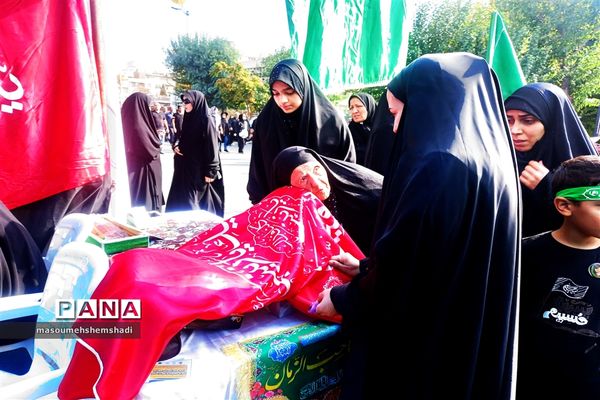 قدم قدم تا دلدادگی به آستان مطهر و نورانی  جاماندگان اربعین حسینی