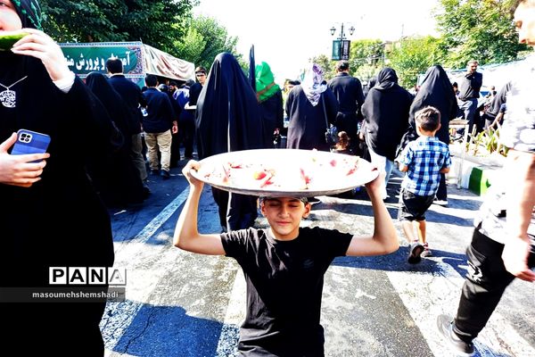 قدم قدم تا دلدادگی به آستان مطهر و نورانی  جاماندگان اربعین حسینی