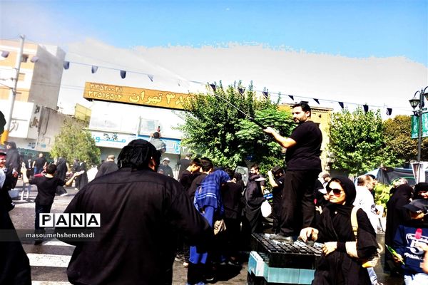 قدم قدم تا دلدادگی به آستان مطهر و نورانی  جاماندگان اربعین حسینی