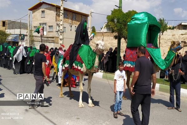 پیاده‌روی و عزاداری جاماندگان اربعین حسینی در شهرستان فیروزکوه