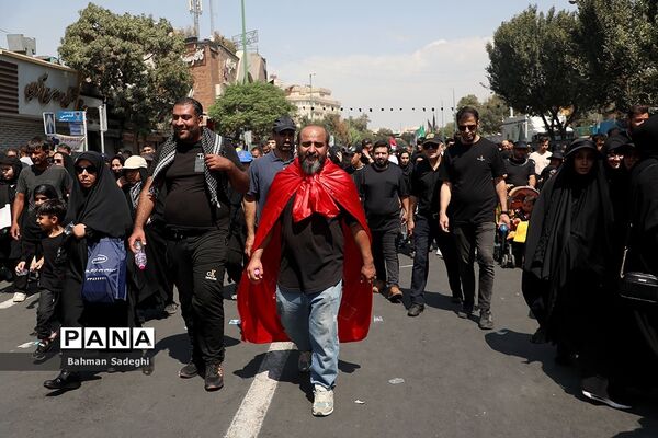 پیاده‌روی جاماندگان اربعین حسینی در تهران