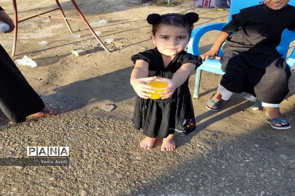 حال و هوای پیاده‌روی اربعین در نجف اشرف و کربلای معلی