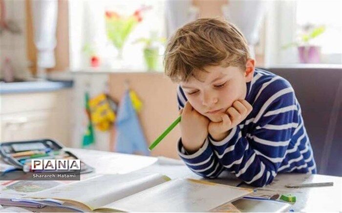 ۳۱۳ دانش‌آموز ابتدایی بازمانده از تحصیل، به آغوش مدرسه بازگشته‌اند