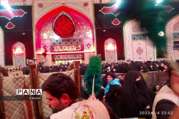 روایت اربعین، از نجف تا کربلا