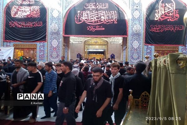 روایت اربعین، از نجف تا کربلا