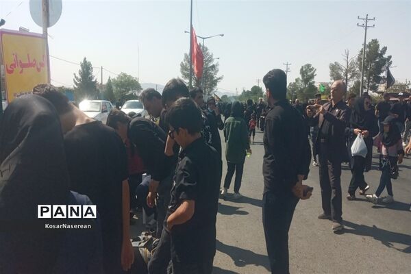 پیاده روی اربعین در شهرستان کاشمر