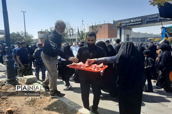 پیاده‌روی جاماندگان اربعین حسینی