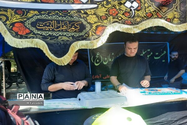 پیاده‌روی جاماندگان اربعین حسینی