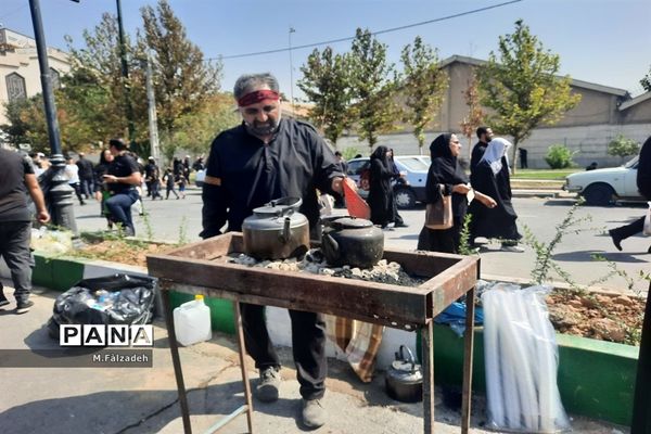 پیاده‌روی جاماندگان اربعین حسینی