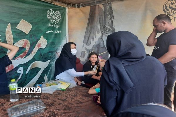 پیاده‌روی جاماندگان اربعین حسینی