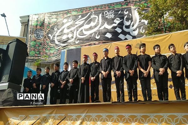 پیاده‌روی جاماندگان اربعین حسینی