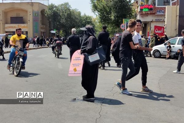 پیاده‌روی جاماندگان اربعین درشیراز