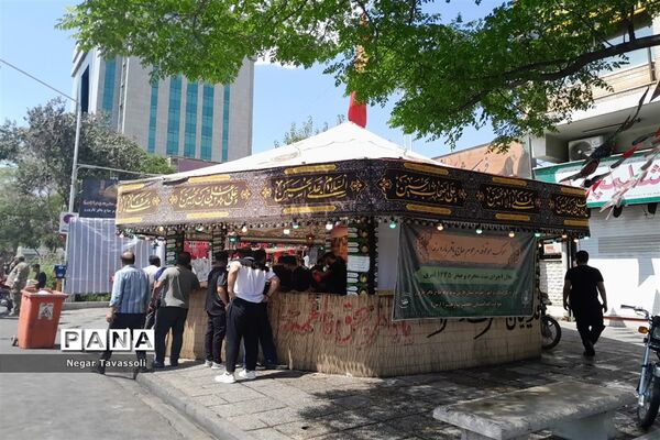 پیاده‌روی جاماندگان اربعین حسینی