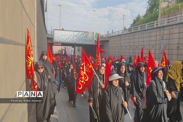 پیاده روی جاماندگان اربعین درشیراز