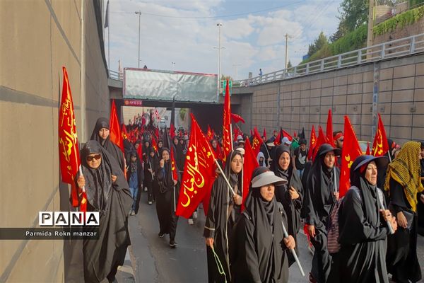 پیاده روی جاماندگان اربعین درشیراز