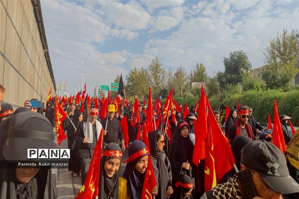 پیاده روی جاماندگان اربعین درشیراز