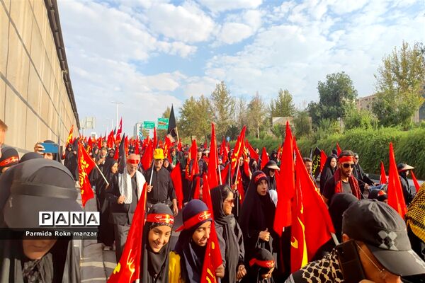 پیاده روی جاماندگان اربعین درشیراز