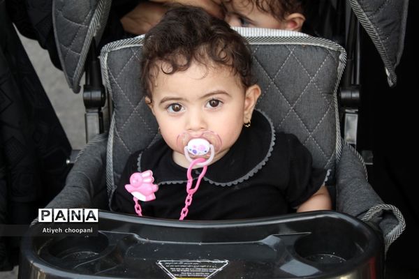 پیاده‌روی جاماندگان اربعین حسینی (ع)