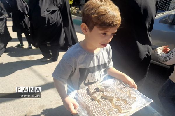 پیاده‌روی جاماندگان اربعین شهرستان فاروج