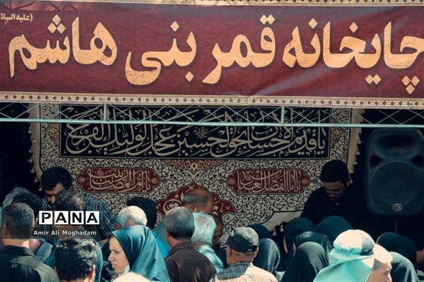 جاماندگان اربعین در پناه رضا(ع)