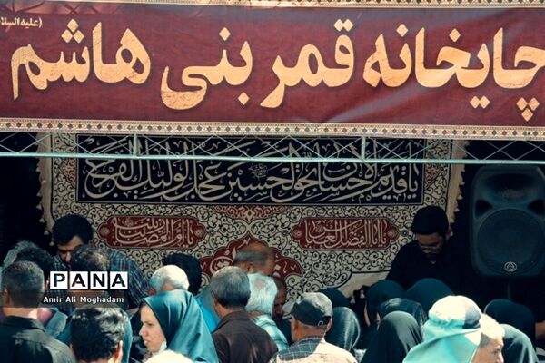 جاماندگان اربعین در پناه رضا(ع)