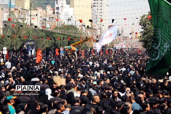 جاماندگان اربعین در پناه رضا(ع)