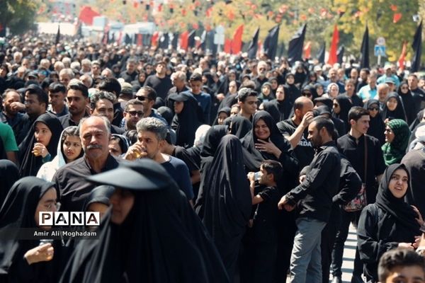 جاماندگان اربعین در پناه رضا(ع)