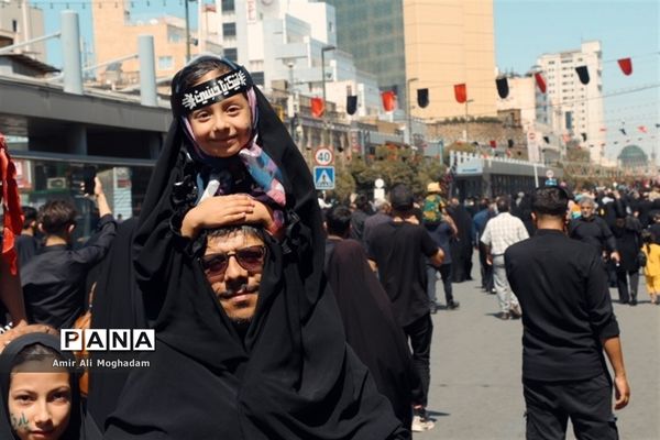 جاماندگان اربعین در پناه رضا(ع)