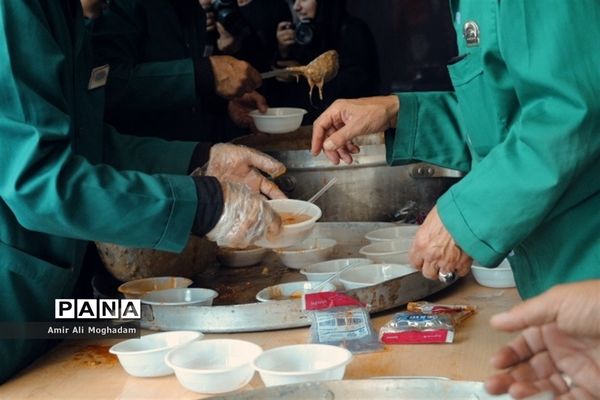 جاماندگان اربعین در پناه رضا(ع)