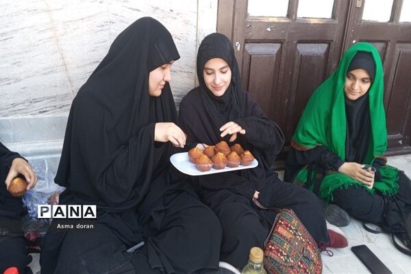 پیاده‌روی جاماندگان اربعین حسینی هیات دخترانه مهدخت