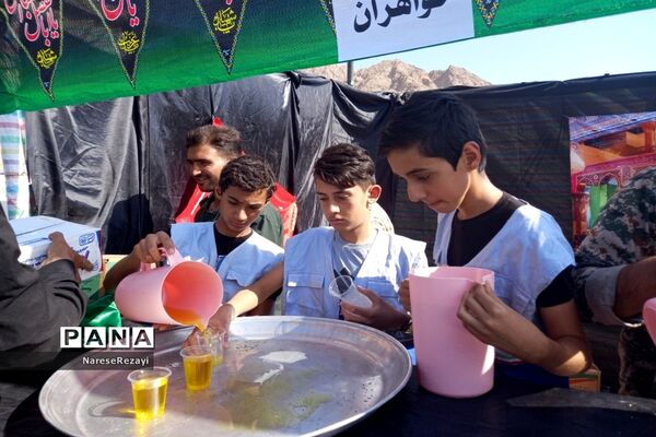 پیاده‌روی جاماندگان اربعین شهرستان کوهسرخ