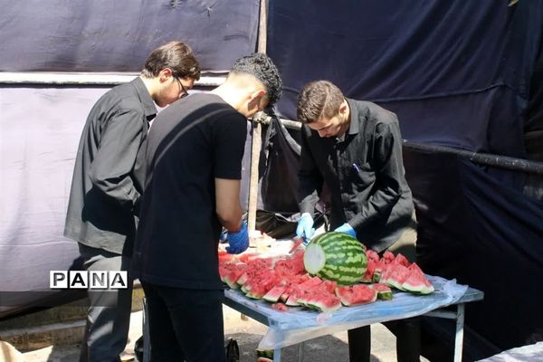 پیاده‌روی جاماندگان اربعین در خرمدره