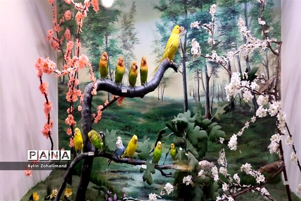 موزه تاریخ طبیعی در همدان
