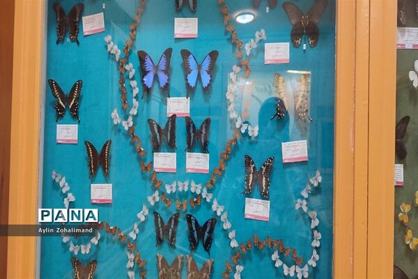 موزه تاریخ طبیعی در همدان