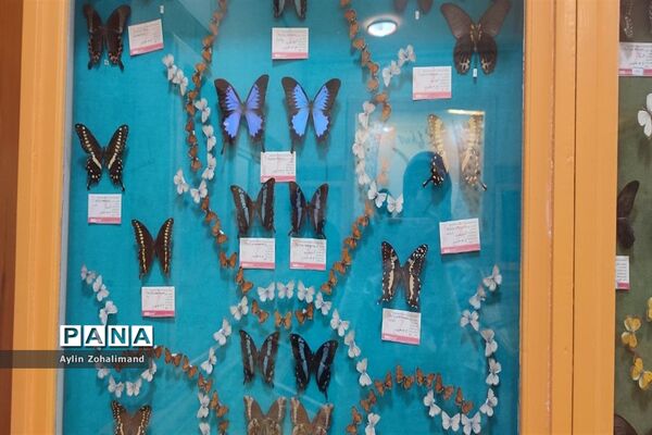 موزه تاریخ طبیعی در همدان